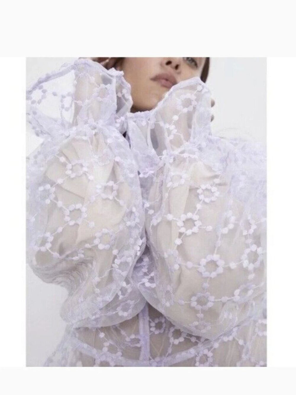 Zara Light Lavender Sheer Puff Sleeves Embroidered Blouse Top Size Small NWT